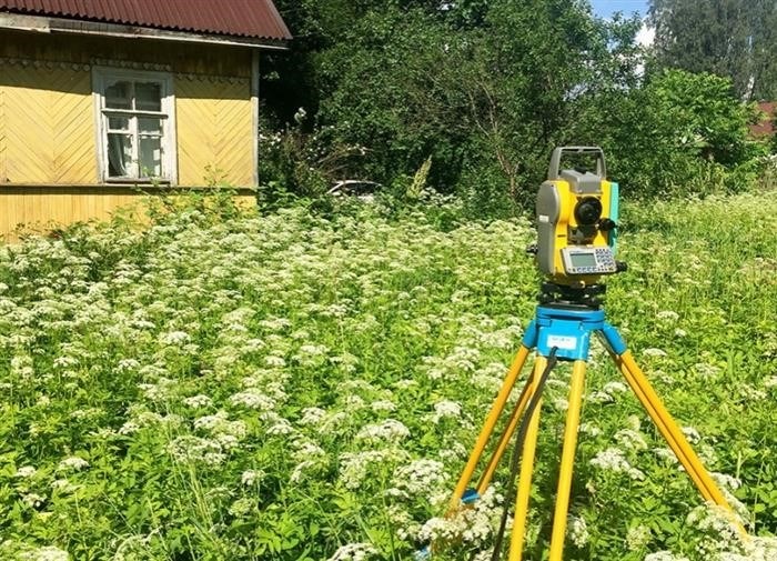 Пензенская фотография Топосемок.