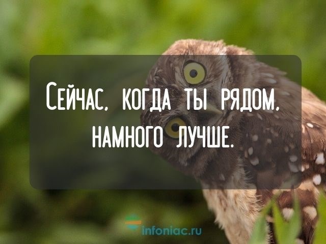 Как дела?». Как отвечать на этот вопрос.