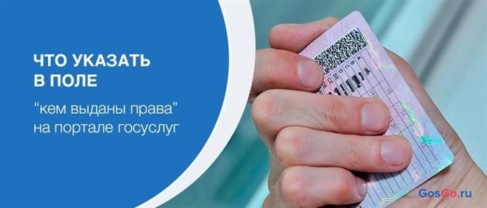 Что должно быть указано в поле «Лицензия выдана» в графе «Госуслуга»?