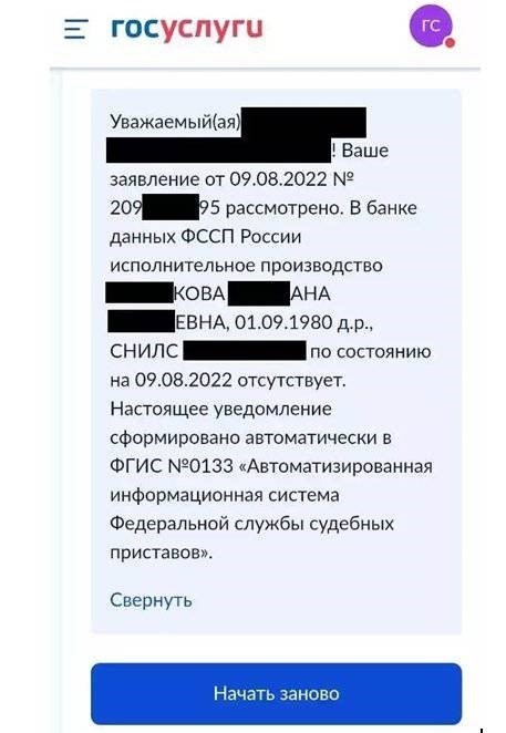 Пример справки Госуслуг