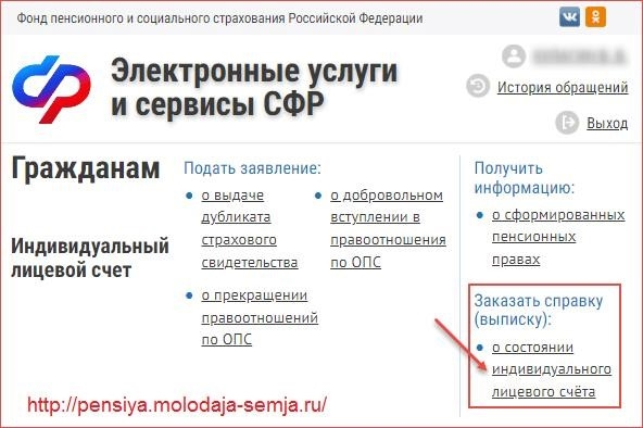 Выписка из Пенсионного фонда о порядке получения лицевого счета