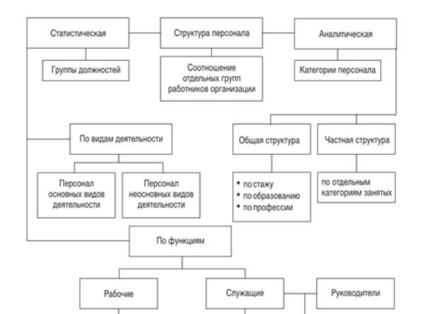 HR-структура: цифры из системы управления персоналом